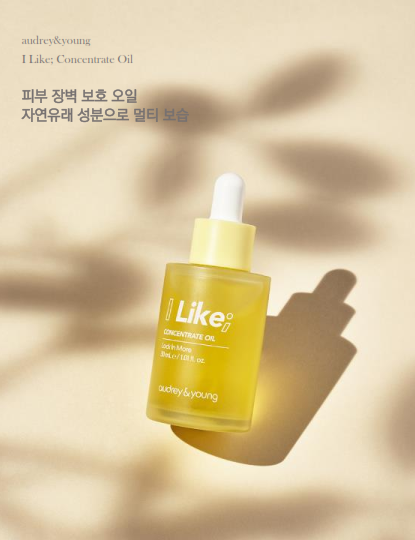 audreynyoung_new_company_pofile(KOR)_21.01_014.png